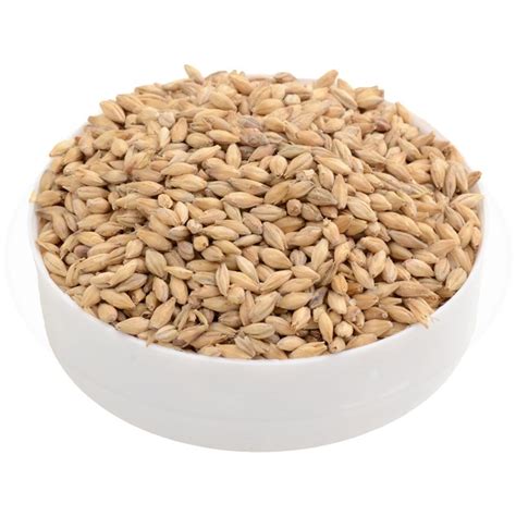 Durst Malz Pilsner malt kg 25 .